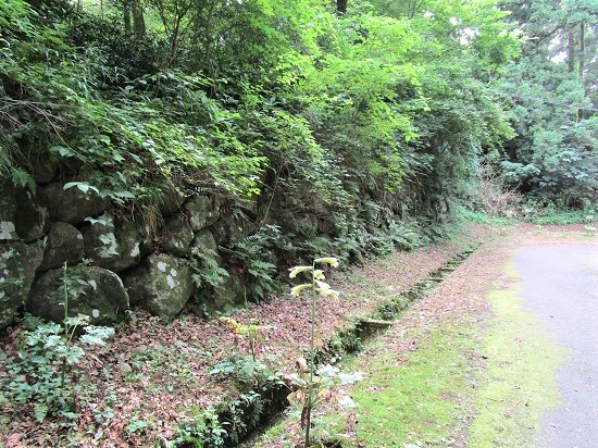 仙台城の石垣の写真