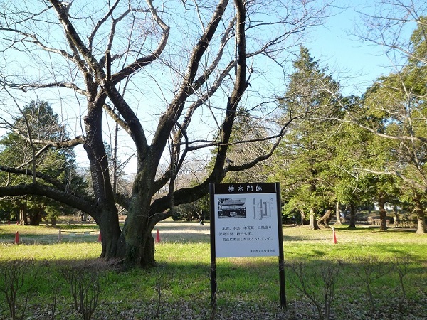 椎木門跡の写真