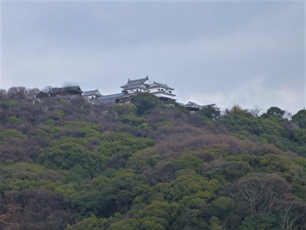 松山城を見上げながら散策の写真