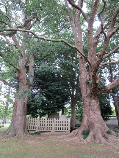 要石歌碑の写真