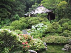法雲寺の写真