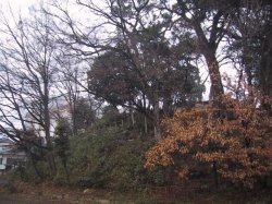 富士見櫓跡の写真