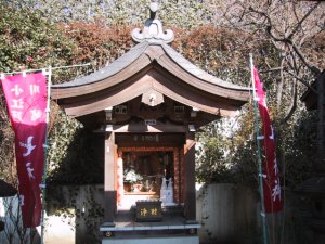 天然寺　寿老人の写真