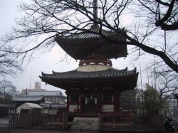 喜多院多宝塔の写真