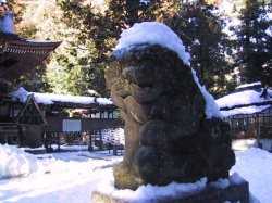 宝登山神社　狛犬の写真