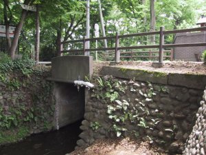 野火止用水にかかる伊豆殿橋の写真