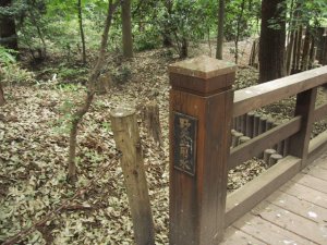 野火止用水の写真