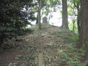野火止塚の写真
