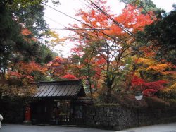 華蔵院紅葉の写真