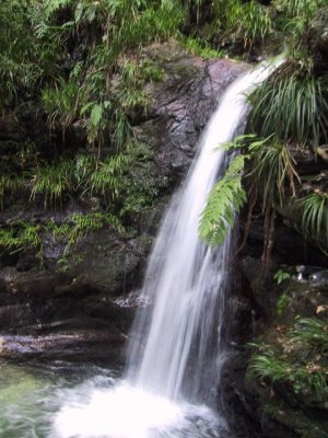 黒山三滝、女滝の写真