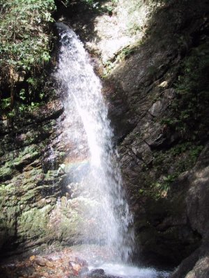 黒山三滝、男滝の写真
