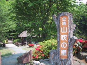 山吹の里公園の写真