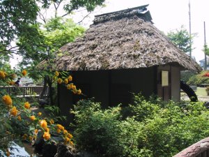 山吹の里公園の写真