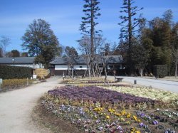 桶川市べに花ふるさと館の写真