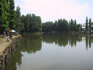 別所沼公園の写真