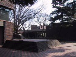 埼玉県立博物館の写真