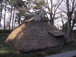 埼玉県立博物館の写真