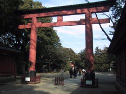 氷川神社三ノ鳥居の写真