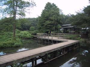 智光山公園　木道の写真
