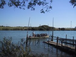 矢切の渡しの写真